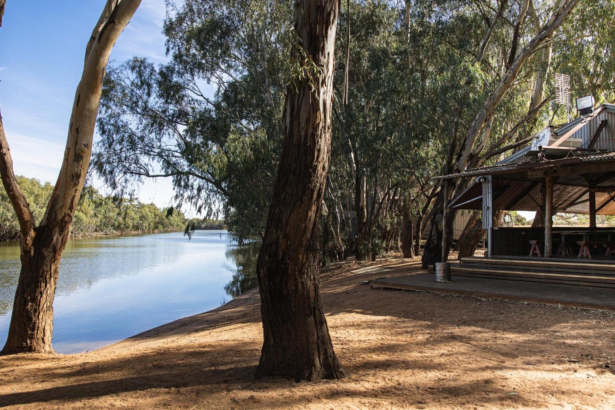 Hotel Nyngan Riverside Tourist Park Esterno foto